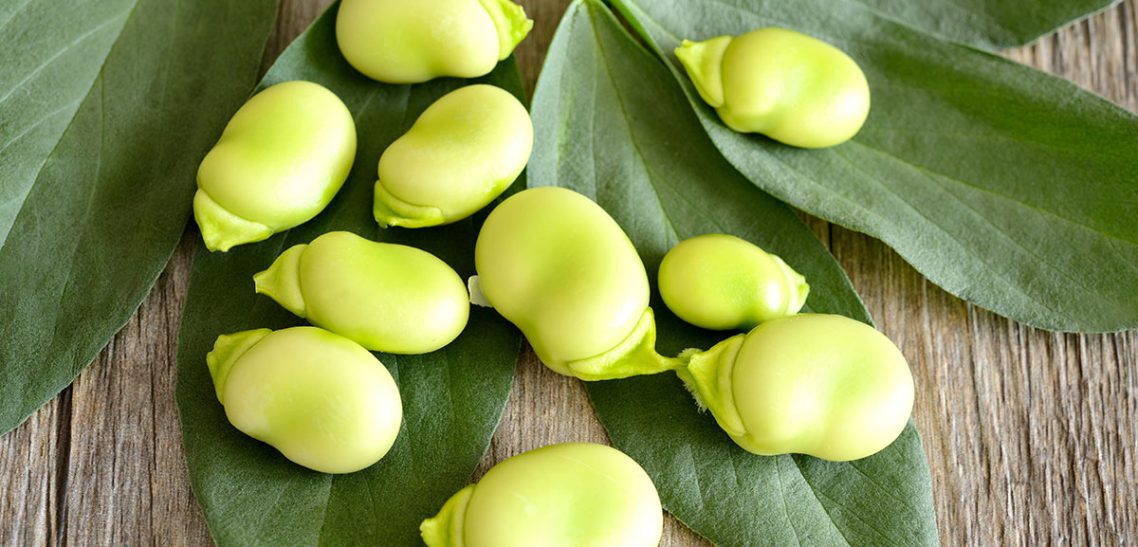 le-fave Ecco 5 buoni motivi per amare ancora di più la fava!